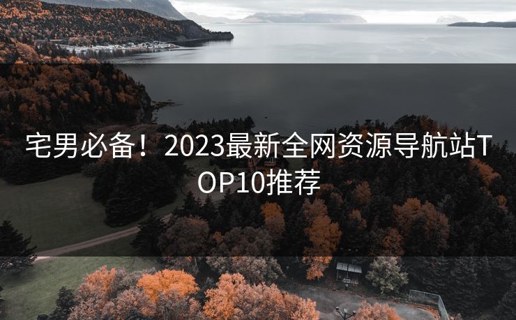 宅男必备！2023最新全网资源导航站TOP10推荐