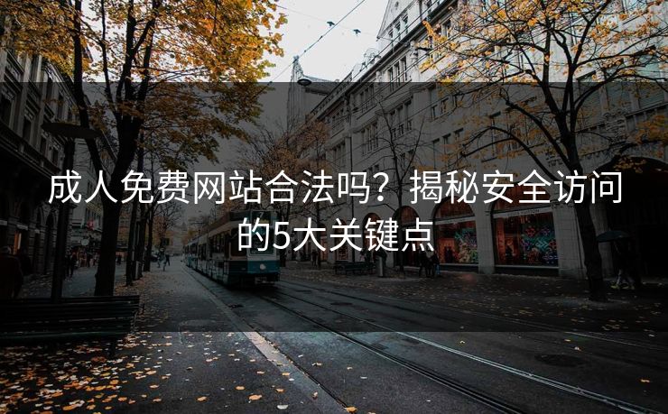 成人免费网站合法吗？揭秘安全访问的5大关键点