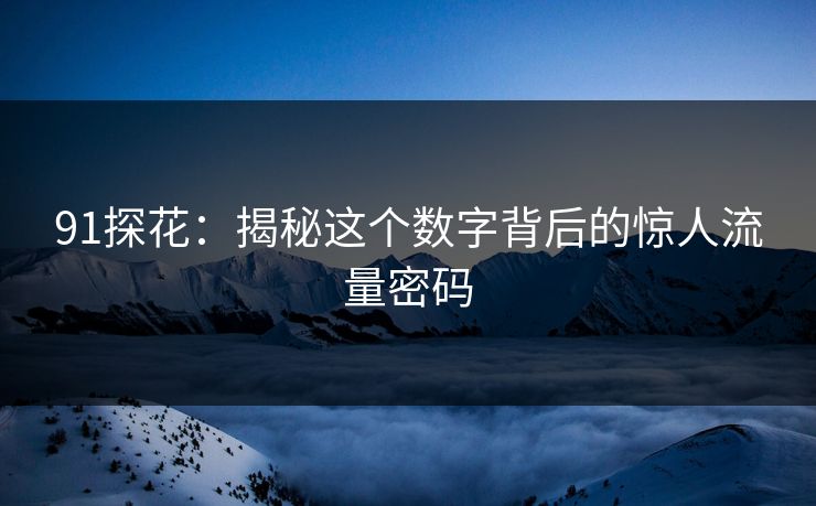 91探花：揭秘这个数字背后的惊人流量密码