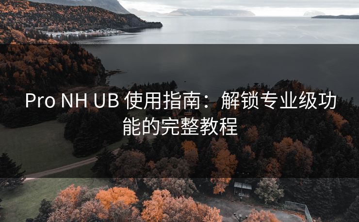 Pro NH UB 使用指南:解锁专业级功能的完整教程 Pro NH UB 使用指南:解锁专业级功能的完整教程